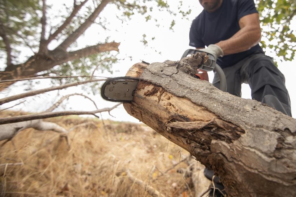 closeup-lumberjack-with-chainsaw-forest